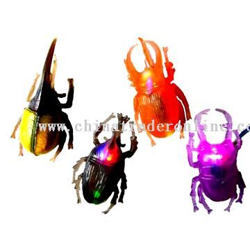 Flashing Coleoptera 
